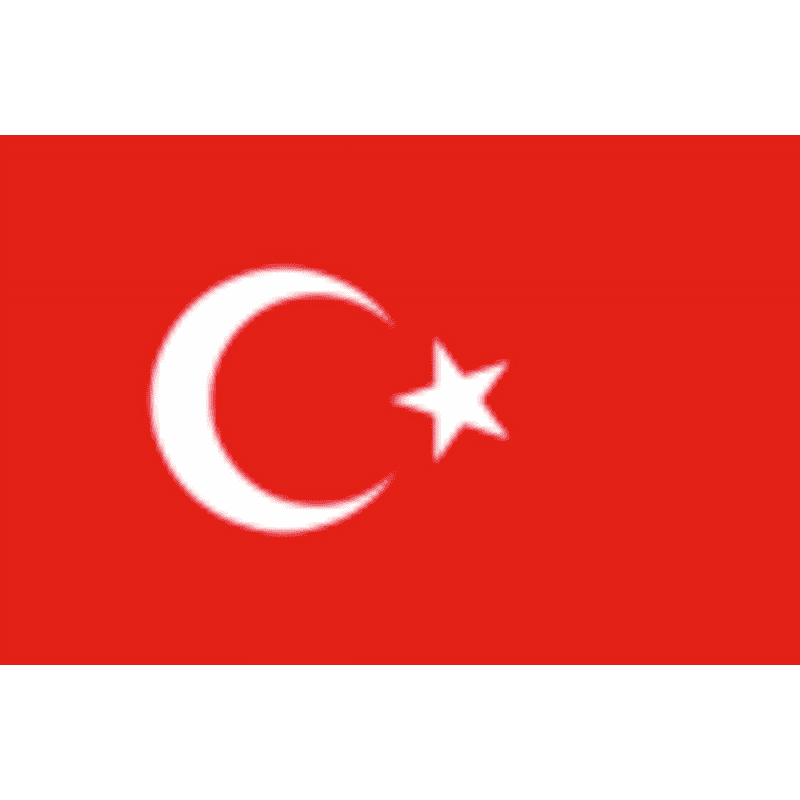 BANDIERA TURCHIA CM.20X30 - 3