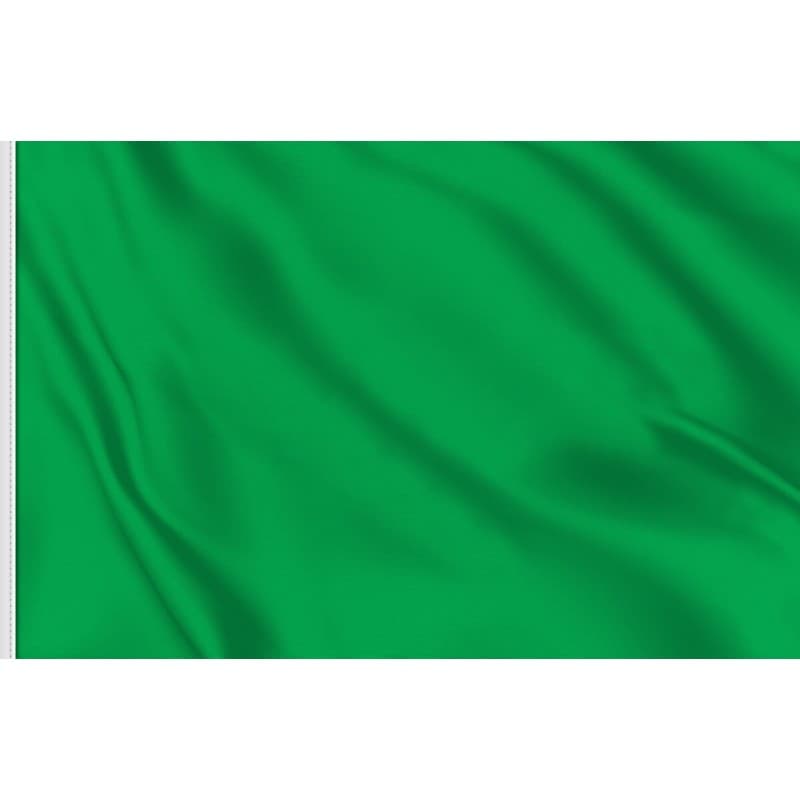 BANDIERA VERDE CM.40x60 - 2
