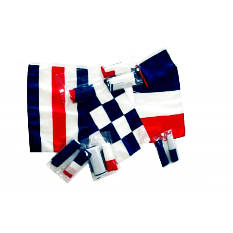 BANDIERE FRANCIA REGOLAMEN.30x40 - 2