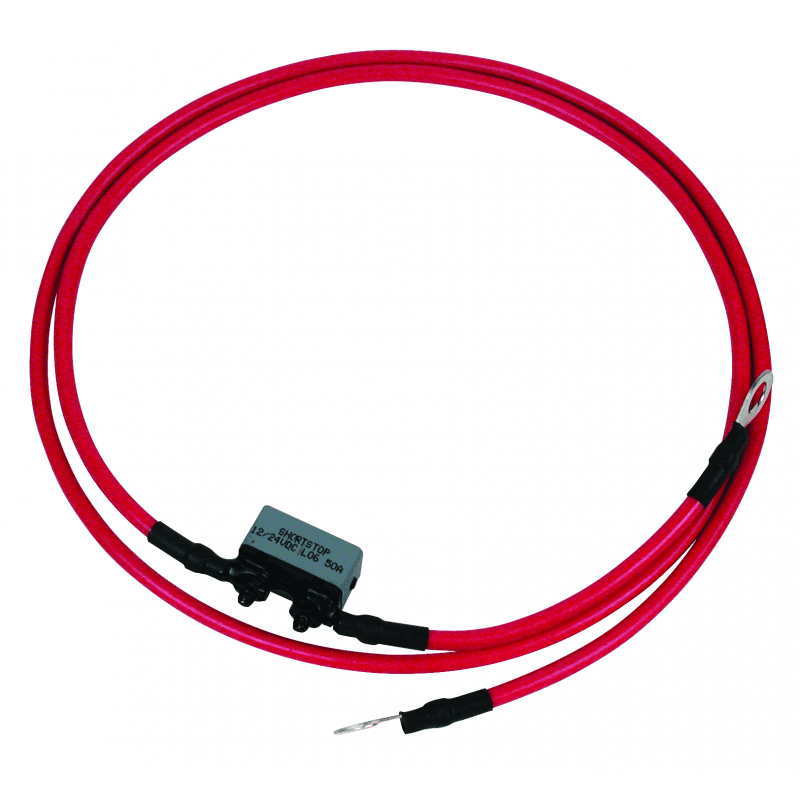 CAVO BATTERIE 50A - 2