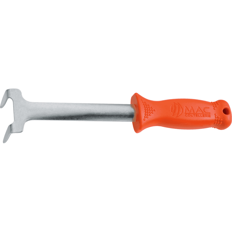 COGLI RICCI INOX - 2