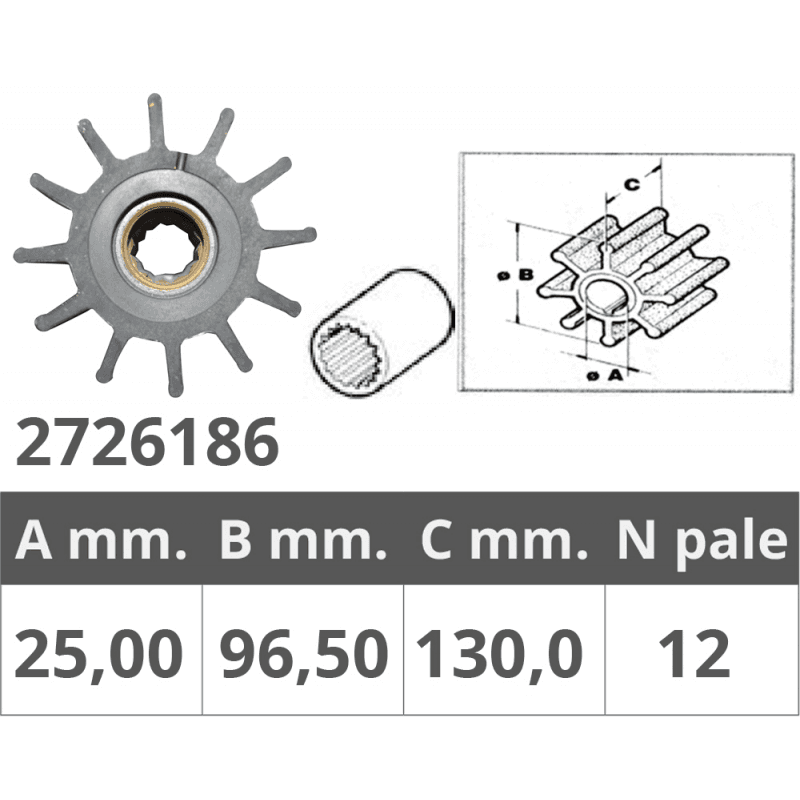 GIRANTE POMPE JOHNSON 09-0820B - 2