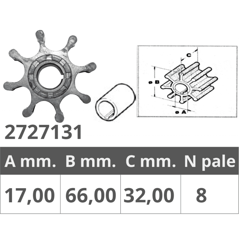 GIRANTE POMPE RENAULT 48300006/7 - 2