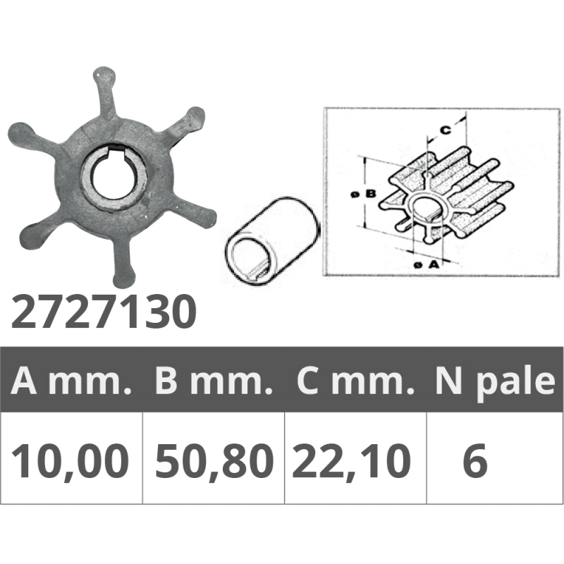 GIRANTE POMPE RENAULT 48300037/55 - 2