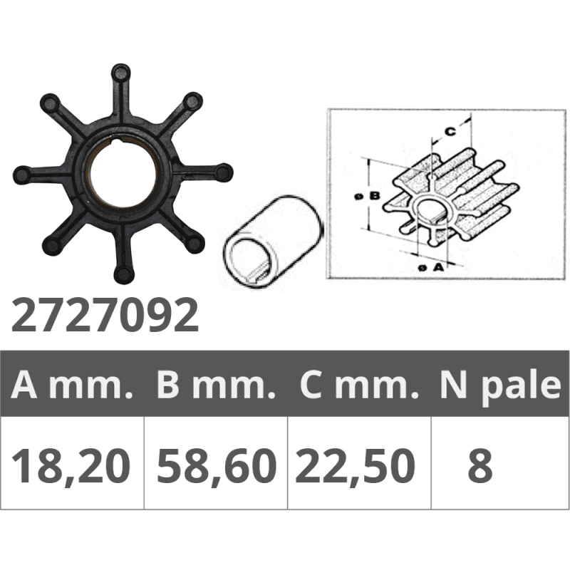 GIRANTE SELVA R.O.8095060 - 2