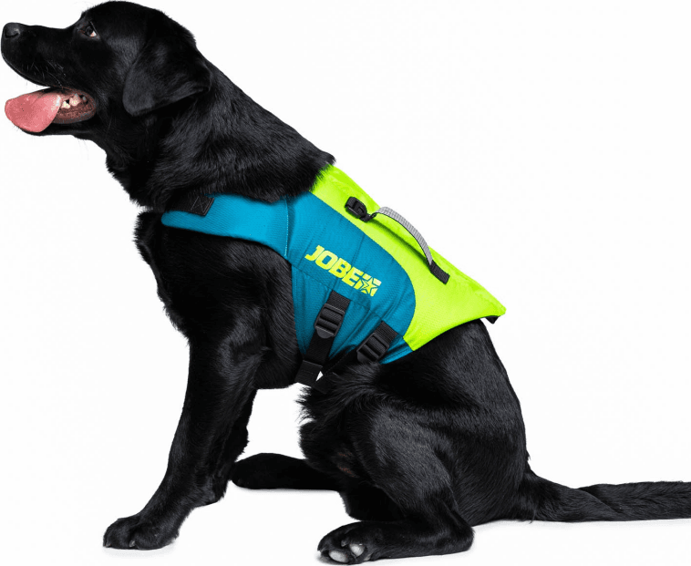 PET VEST TG. XS - 7