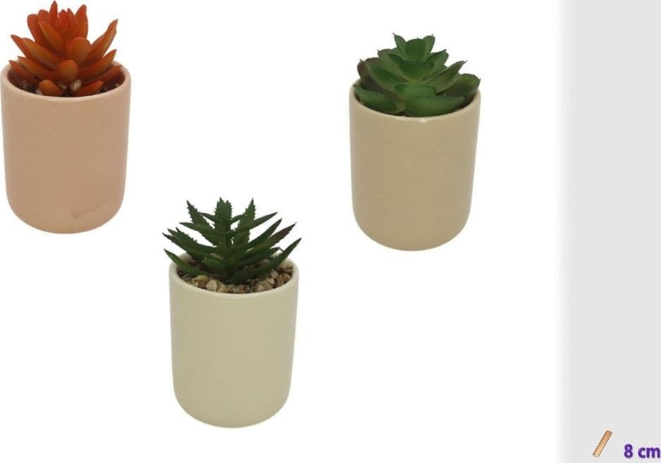 SET 3PZ VASETTO IN CERAMICA COLORATO CON PIANTINA GRASSA ARTIFICIALE ASSORTITA 8CM 164292 - 2
