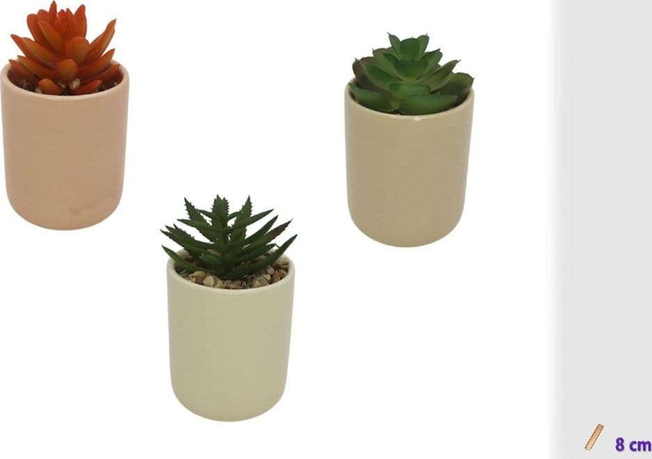SET 3PZ VASETTO IN CERAMICA COLORATO CON PIANTINA GRASSA ARTIFICIALE ASSORTITA 8CM 164292 - 2