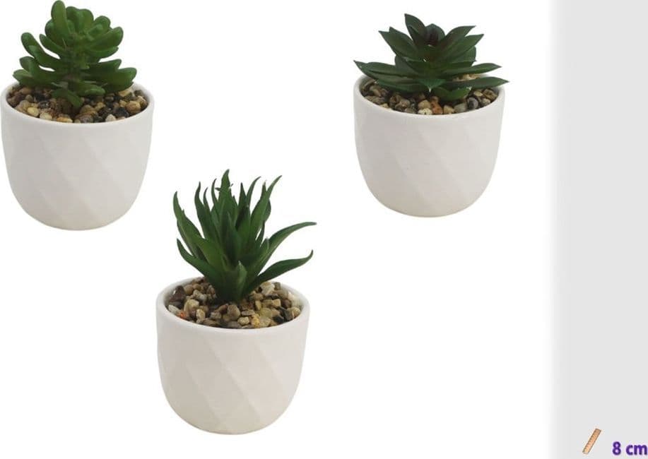 SET 3PZ VASETTO CERAMICA BIANCO CON PIANTINA GRASSA ARTIFICIALE ASSORTITA 8CM CASA 164223 - 2