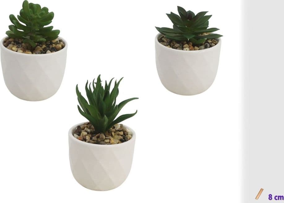 SET 3PZ VASETTO CERAMICA BIANCO CON PIANTINA GRASSA ARTIFICIALE ASSORTITA 8CM CASA 164223 - 2