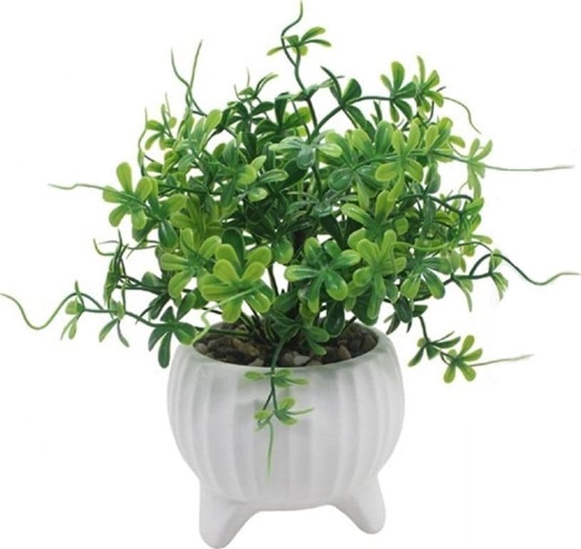 VASETTO CERAMICA BIANCO A COSTE CON PIANTINA ARTIFICIALE ASSORTITA 18CM DECORO CASA 164339 - 4