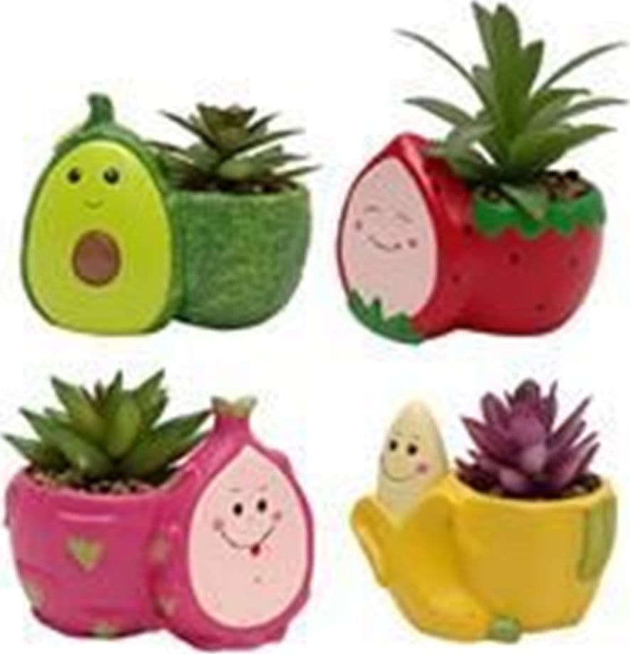 SET 12PZ VASO DECORATIVO A FORMA DI FRUTTA CON FACCINA CON PIANTA GRASSA 4 MODELLI 660546 - 3