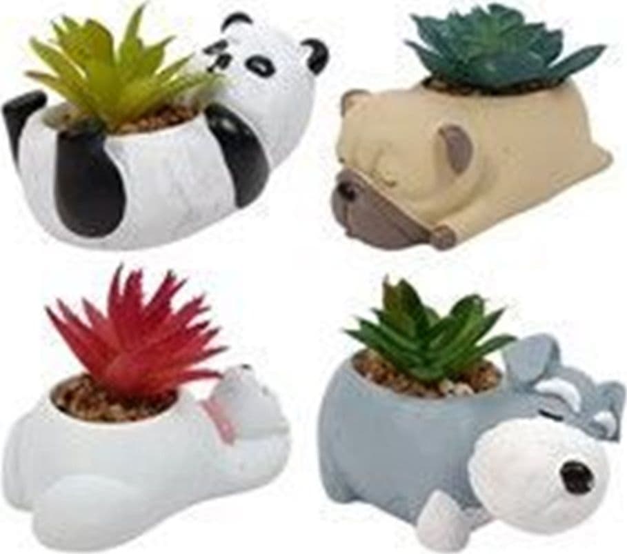 SET 12PZ VASO PORTAFIORI A FORMA DI ANIMALETTO SDRAIATO CON PIANTA GRASSA 4 MODELLI 660959 - 3