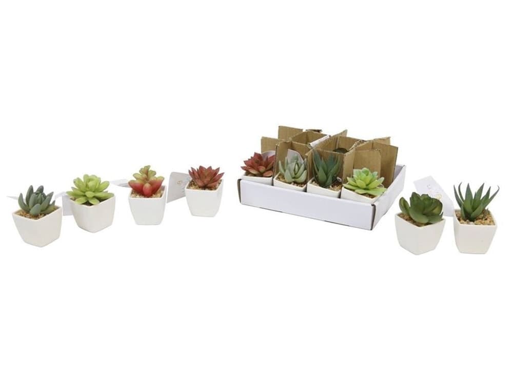 SET 12PZ MINI PIANTA GRASSA ARTIFICIALE CON VASO IN PORCELLANA BIANCO 5X5X8CM 210921 - 2