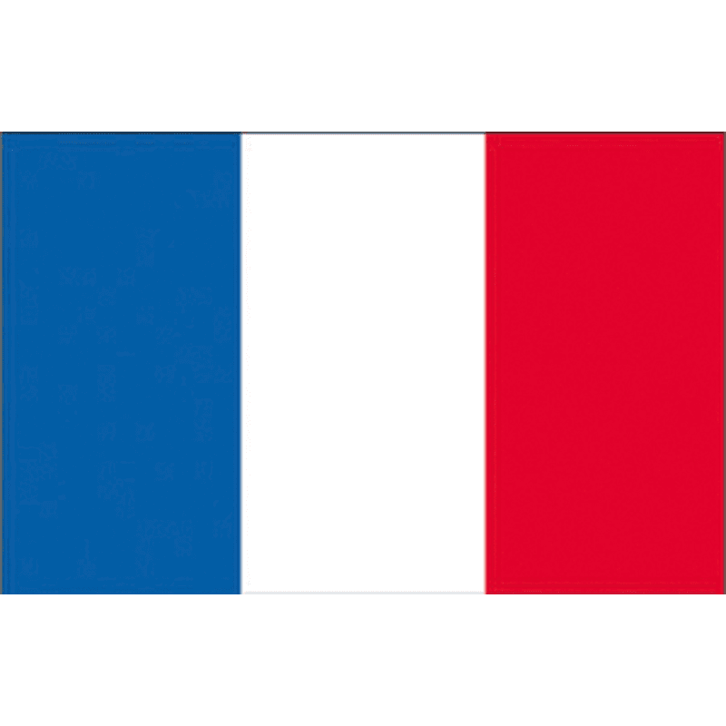 BANDIERA FRANCIA CM.80X120 - 2