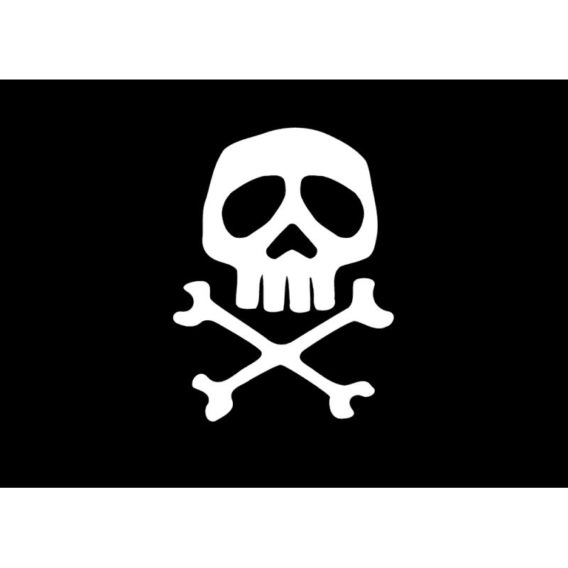 BANDIERA PIRATA CM.30X45 - 2