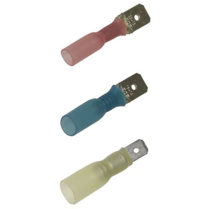 TERMINALE MASCHIO TERMO BLU 100PZ - 3