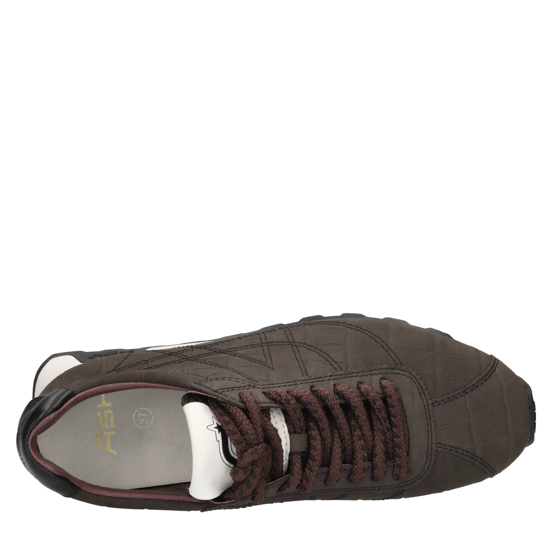 ASH  Sneakers Testa di moro - 5