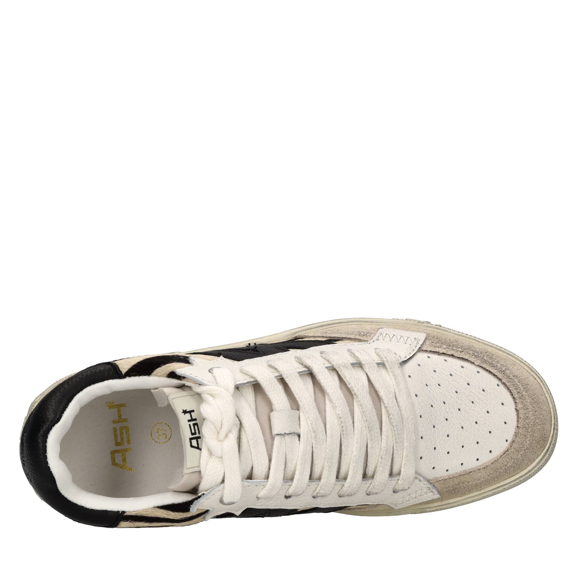ASH  Sneakers Multicolor - 5