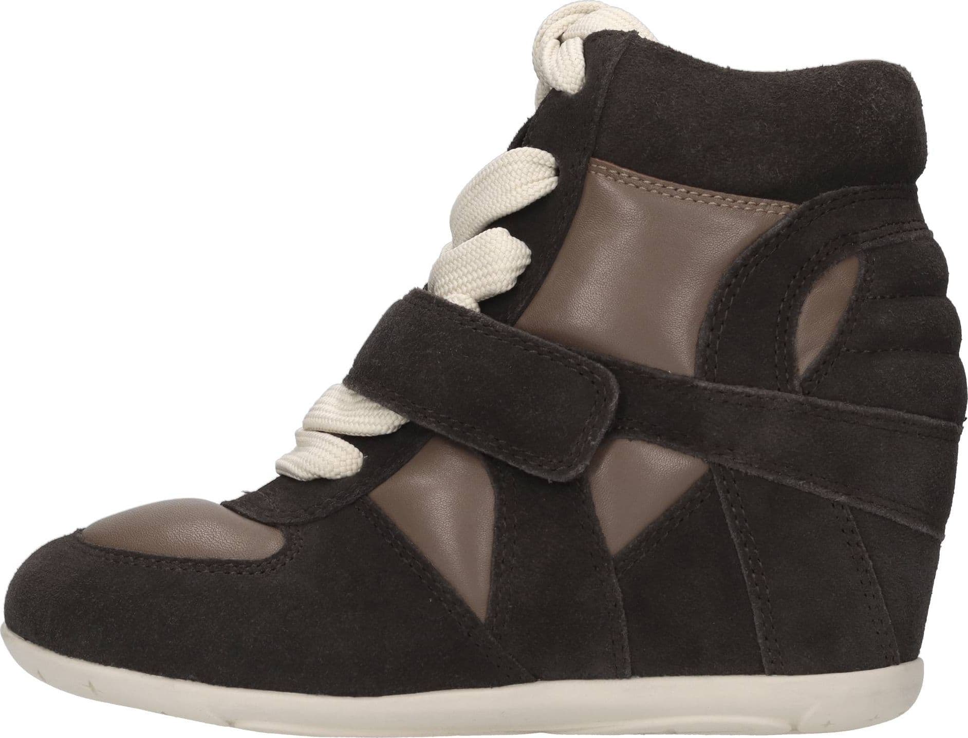 ASH  Sneakers Marrone