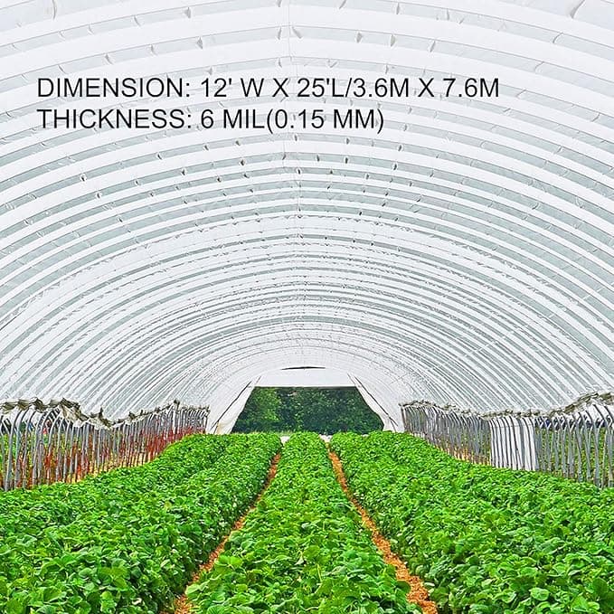 Pellicola Trasparente per Serra da 12x25 Piedi con Spessore di 0,15mm, Copertura per Piante Serra da Giardinaggio in Polietilene, contro Raggi UV per progetti Industriali, Residenziali Agricoli | Dimensioni 60.00 × 30.00 × 30.00 cm - 2