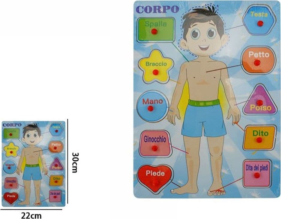 PUZZLE A INCASTRO TEMA CORPO MASCHILE GIOCO EDUCATIVO LEGNO PER BAMBINI CON POMELLI 66424 - 2