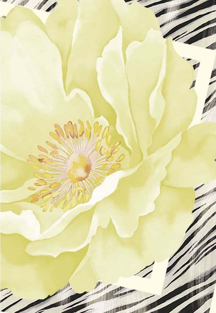 Liu Jo Gray Polyester Foulard - 4
