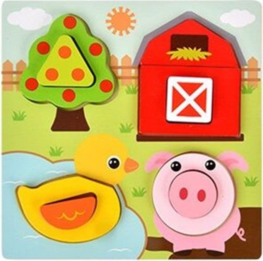 PUZZLE IN LEGNO A INCASTRO GIOCO EDUCATIVO PER BAMBINI INSERTI ASSORTITI 4 MODELLI 66959 - 3