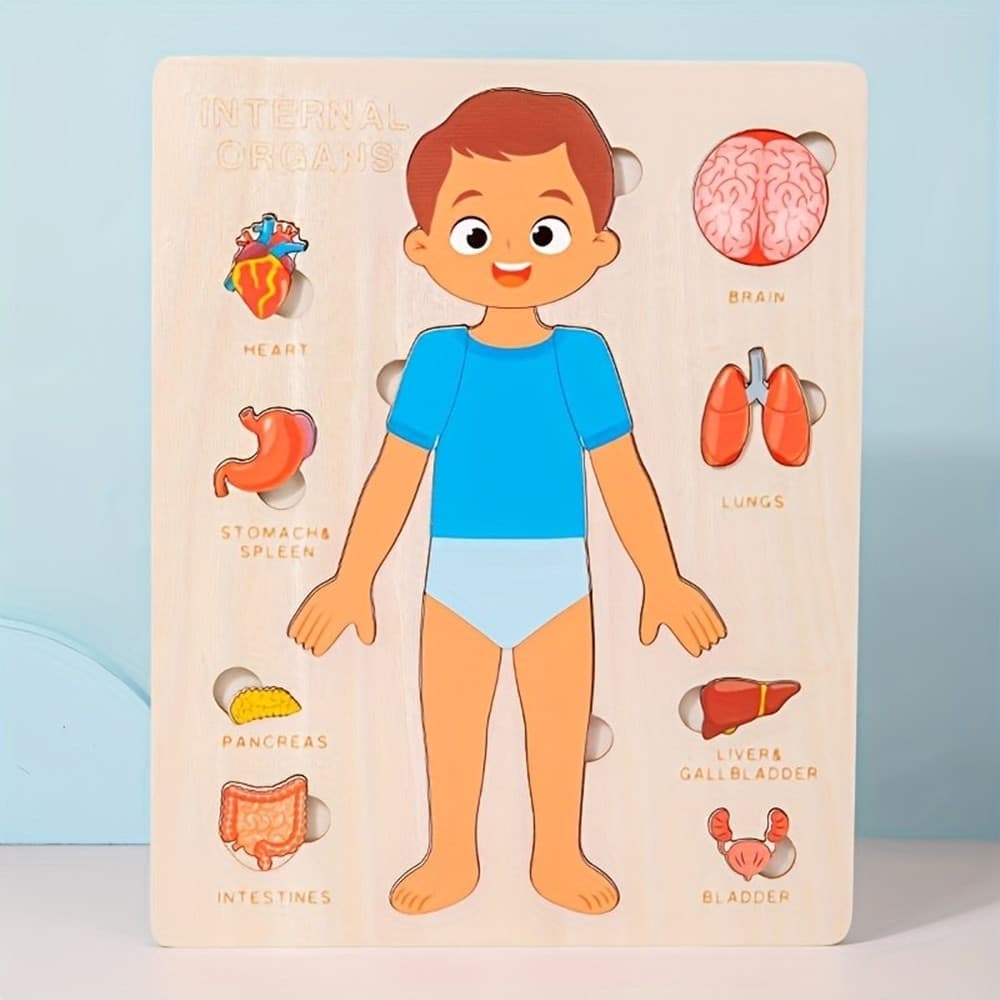 PUZZLE IN LEGNO EDUCATIVO A INCASTRO PER BAMBINI ANATOMIA ORGANI CORPO UMANO BAMBINO 32347 - 2