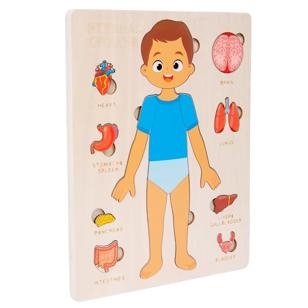 PUZZLE IN LEGNO EDUCATIVO A INCASTRO PER BAMBINI ANATOMIA ORGANI CORPO UMANO BAMBINO 32347 - 3