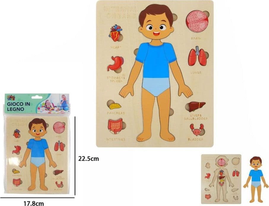PUZZLE IN LEGNO EDUCATIVO A INCASTRO PER BAMBINI ANATOMIA ORGANI CORPO UMANO BAMBINO 32347 - 4