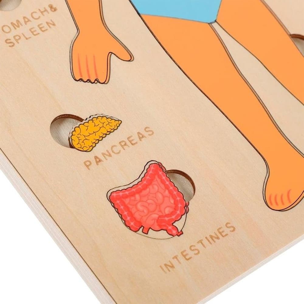PUZZLE IN LEGNO EDUCATIVO A INCASTRO PER BAMBINI ANATOMIA ORGANI CORPO UMANO BAMBINO 32347 - 5