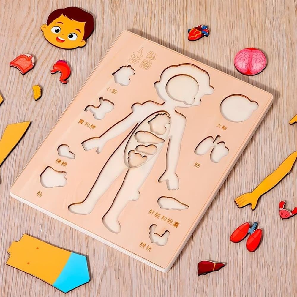 PUZZLE IN LEGNO EDUCATIVO A INCASTRO PER BAMBINI ANATOMIA ORGANI CORPO UMANO BAMBINO 32347 - 6