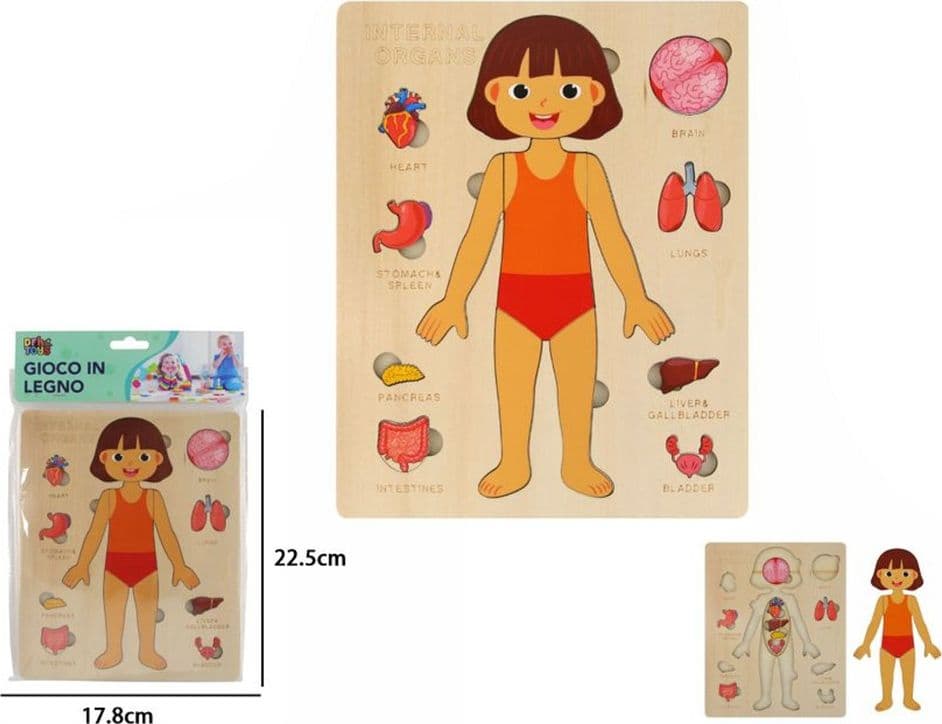 PUZZLE IN LEGNO EDUCATIVO A INCASTRO PER BAMBINI ANATOMIA ORGANI CORPO UMANO BAMBINA 32346 - 2