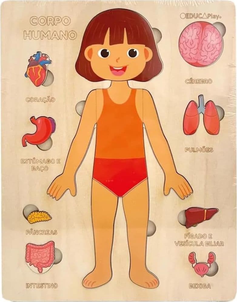 PUZZLE IN LEGNO EDUCATIVO A INCASTRO PER BAMBINI ANATOMIA ORGANI CORPO UMANO BAMBINA 32346 - 3