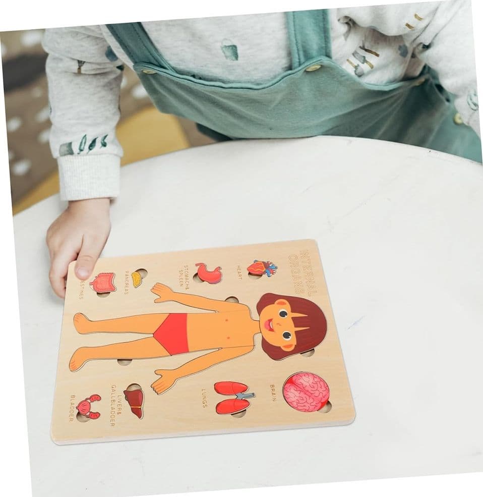 PUZZLE IN LEGNO EDUCATIVO A INCASTRO PER BAMBINI ANATOMIA ORGANI CORPO UMANO BAMBINA 32346 - 4