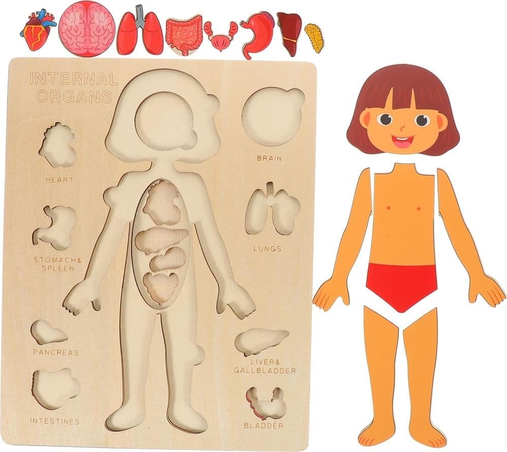 PUZZLE IN LEGNO EDUCATIVO A INCASTRO PER BAMBINI ANATOMIA ORGANI CORPO UMANO BAMBINA 32346 - 5