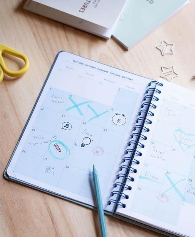 Line Friends - Calendar 2020/2021 A5 - 12