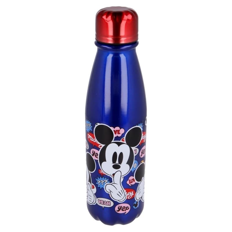 Minnie Mouse - 600 ml aluminum bottle - 4