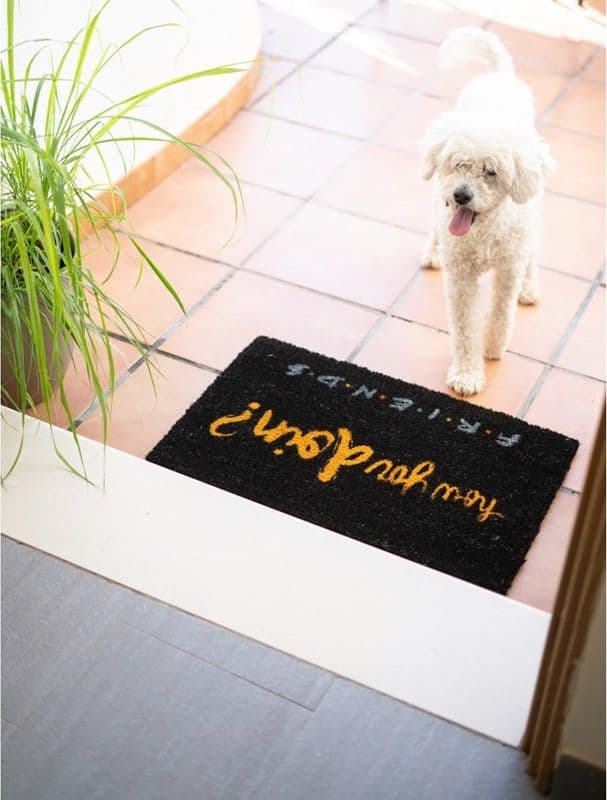 Friends - Doormat - 14