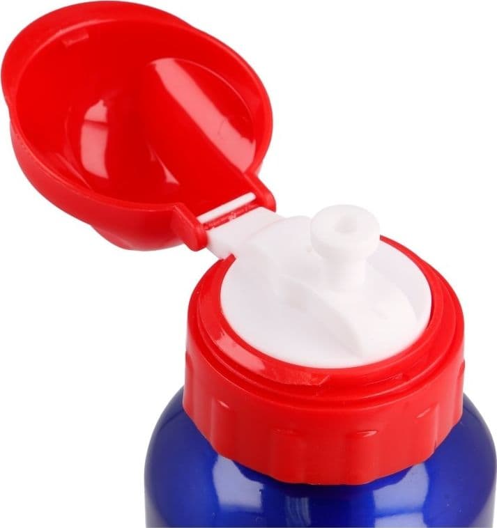 Mickey Mouse - Bottle 500 ml - 6