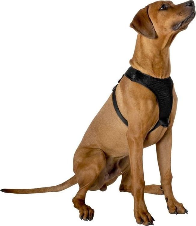 Harness / dog harness 67.6 x 106.5 cm size. L (black) - 6