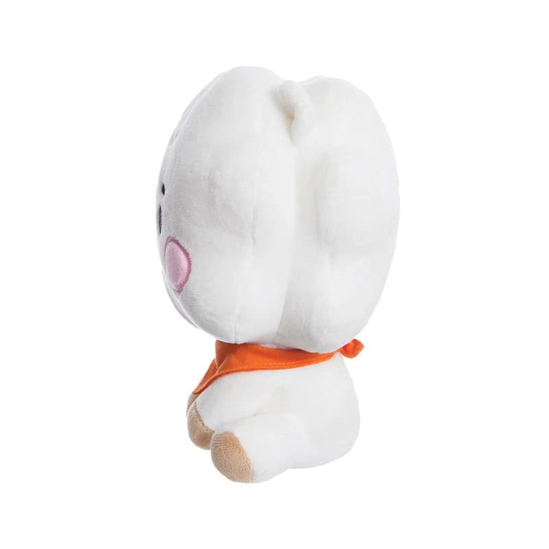 Line Friends BT21 - Plush mascot 20 cm RJ BABY - 3
