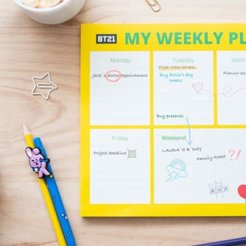 BT21 - Weekly planner 54 A4 pages - 10