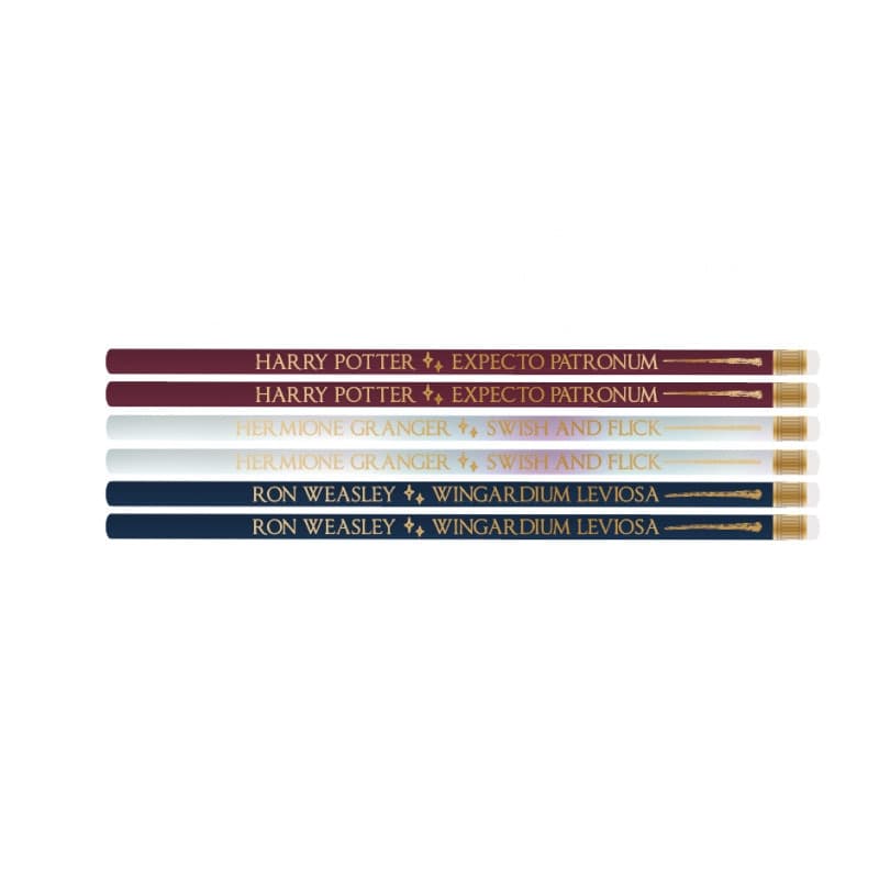 Harry Potter - Set di 6 bacchette e portapenne.