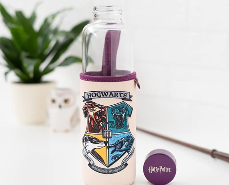 Harry Potter - Borraccia in vetro da 500 ml (Hogwarts) - 11