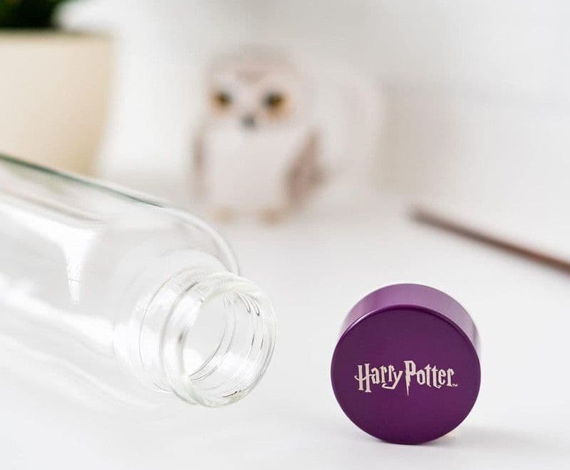 Harry Potter - Borraccia in vetro da 500 ml (Hogwarts) - 5