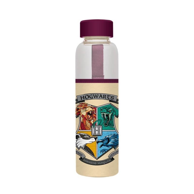 Harry Potter - Borraccia in vetro da 500 ml (Hogwarts) - 8