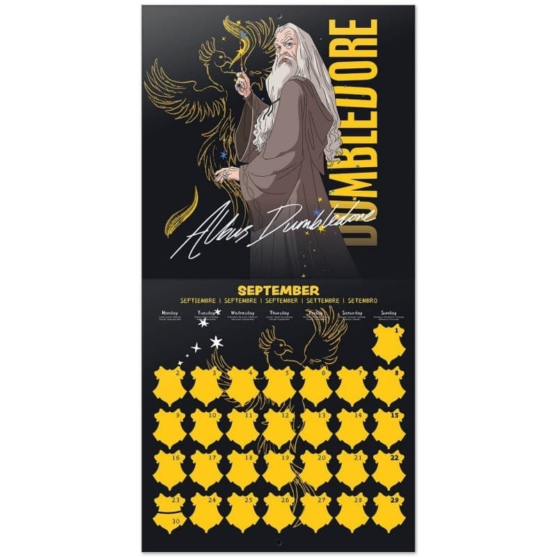 Harry Potter - Calendario da parete 2024 (30 x 30 cm) - 6