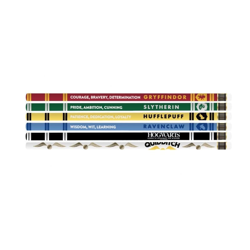 Harry Potter - Set di 6 astucci portapenne House Pride - 3